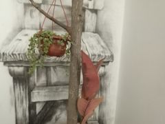 -甲乙果 美术书法(通州校区)