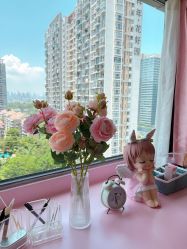 -哈颜科技轻美·