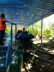 -大望京儿童游乐场