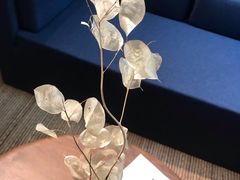 -梵几(东信·和创园店)