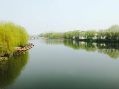 -溱湖国家湿地公园