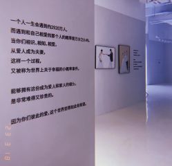 点击看大图 -金夫人婚纱摄影(总店)