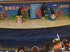 -成都浩海立方海洋公园