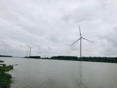 -盐城丹顶鹤湿地生态旅游区