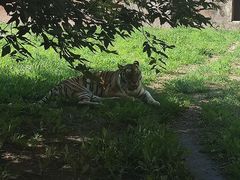 -齐齐哈尔龙沙动植物园
