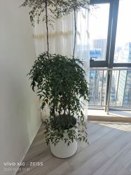 -HEYAN荷妍专业脱毛连锁机构