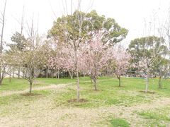 -无锡梅园公园