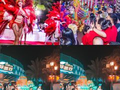 -三亚海昌梦幻海洋不夜城