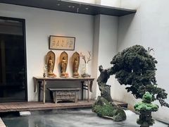 -觀芷隐轩