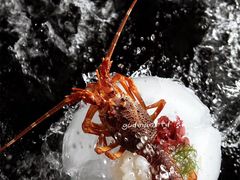 澳洲龙虾仔-和·铁板烧·OMAKASE(望京昆泰嘉晟酒店)