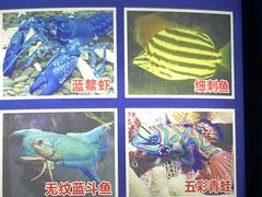 -欢乐海岸海洋奇梦馆