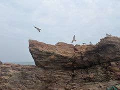 -摩天岭风景区
