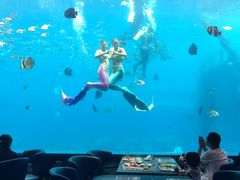 -瑞德姆美人鱼海底演艺主题餐厅(亚龙湾店)