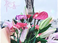 -紫竹林