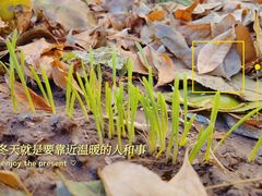 -伊顿幼儿园(天津壹街区校区)