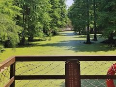 -南昌青山湖风景区