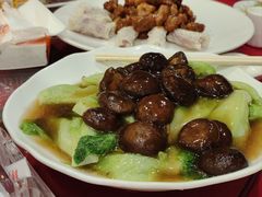 -万年酒楼(越秀南路店)