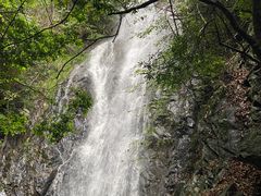 -大余丫山旅游度假区