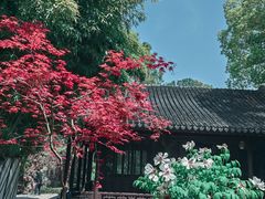 -北寺塔
