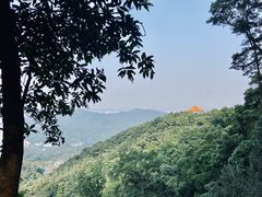 -广州市帽峰山景区