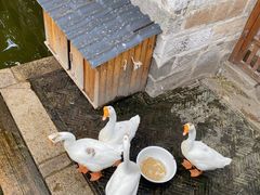 -苏州碑刻博物馆