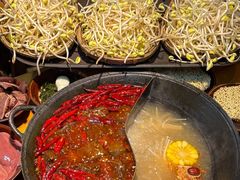 -阳阳老火锅(小南门店)