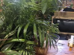 -木屋烧烤(白石洲店)