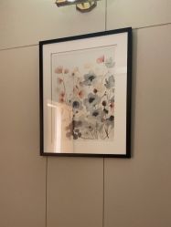 -娇莉芙美颜SPA连锁
