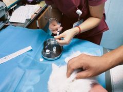 -纳吉亚猫专科动物诊疗中心(蒋宅口分院)