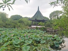 -无锡蠡湖国家湿地公园-蠡园