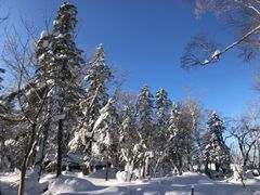 -凤凰山国家森林公园