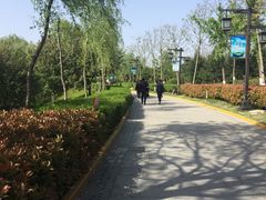 -西安汉城湖景区