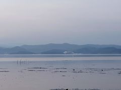 -洱海月湿地公园