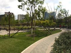-西海子公园
