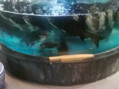 -魏铭鱼头捞饭(晋阳路店)