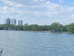 -大兴滨河森林公园