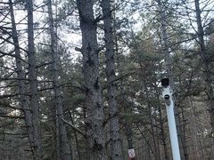 -帽儿山国家森林公园