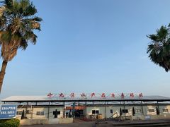 -大湾区中央湿地公园-十九涌