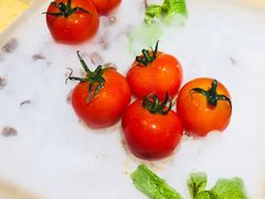 -小大董·烤鸭(五棵松店)