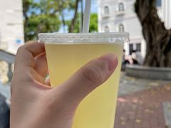 自制柠檬汁-安德鲁饼店(总店)