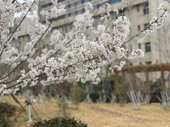 -山东省千佛山医院