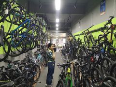 -道路口单车爱瓦士dahon大行