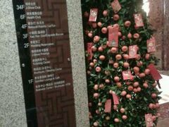 -上海新锦江大酒店