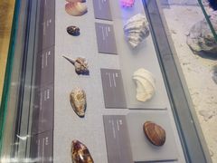 -中国（海南）南海博物馆
