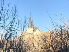 -北京张裕爱斐堡酒庄