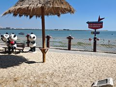 -北海金海湾红树林生态旅游区