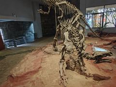 -自贡恐龙博物馆