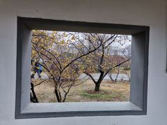 -无锡梅园公园