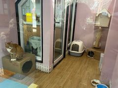 -联合动物医院(光谷诊疗中心)
