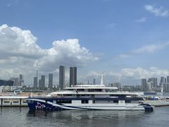 -招商蛇口邮轮母港(观光客运)